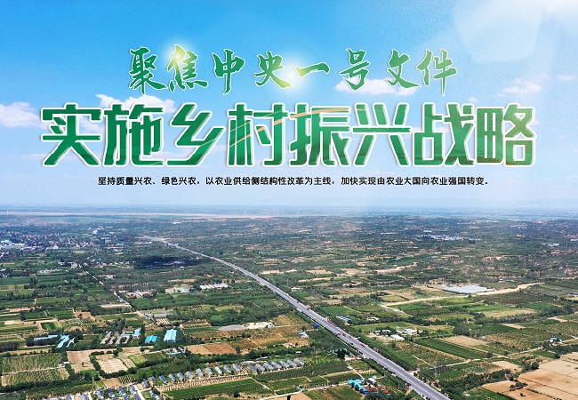 【中央一號文件】中央一號文件智慧農(nóng)業(yè)相關(guān)信息解讀！